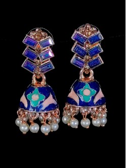 Exclusive Earrings