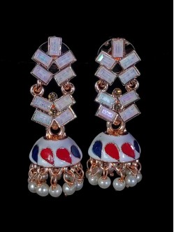 Exclusive Earrings