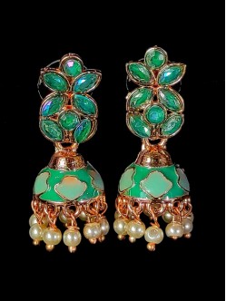 Exclusive Earrings