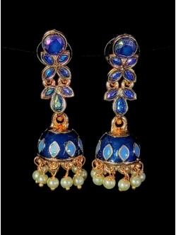 Exclusive Earrings