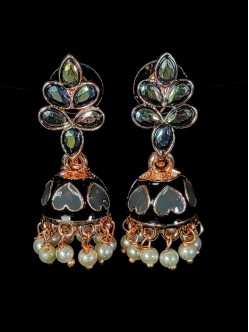 Exclusive Earrings